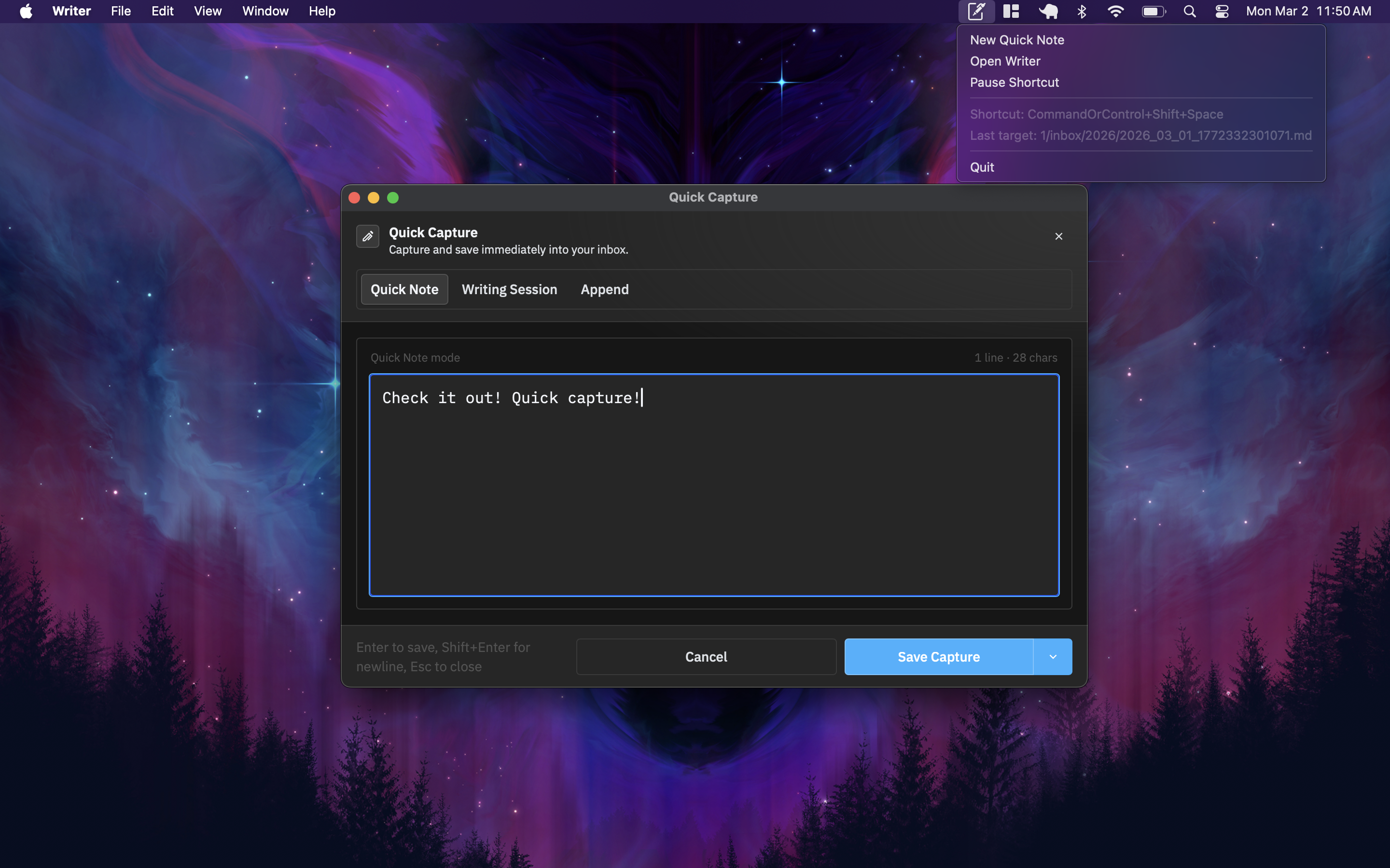 Quick capture window